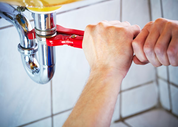 About Drytown Plumbers